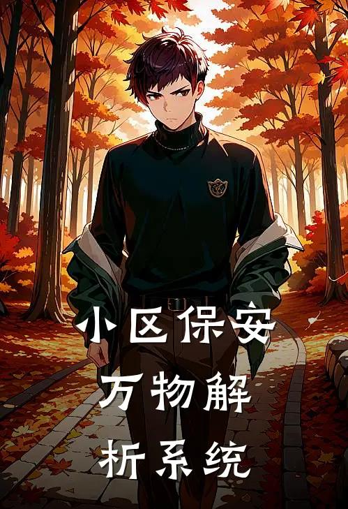 小区保安：万物解析系统