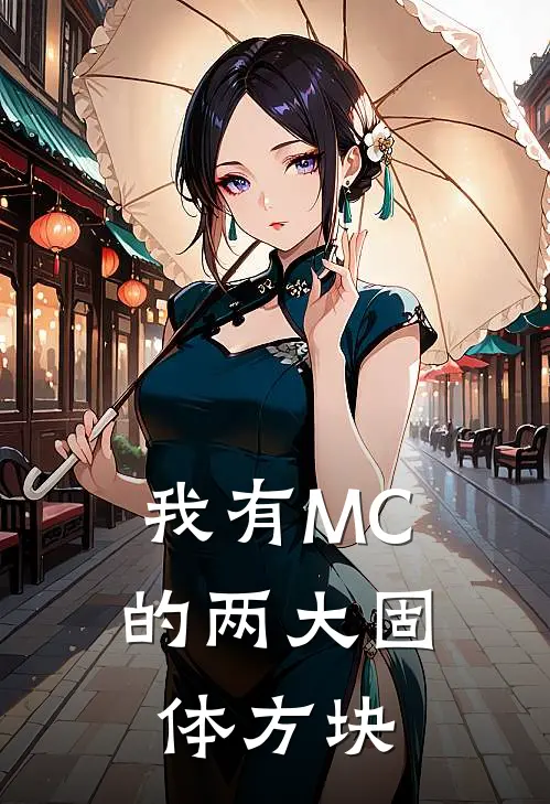 我有MC的两大固体方块